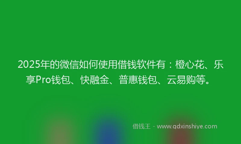 2025年的微信如何使用借钱软件有：橙心花、乐享Pro钱包、快融金、普惠钱包、云易购等。