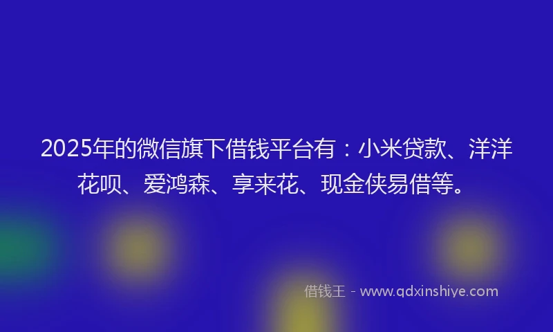 2025年的微信旗下借钱平台有：小米贷款、洋洋花呗、爱鸿森、享来花、现金侠易借等。
