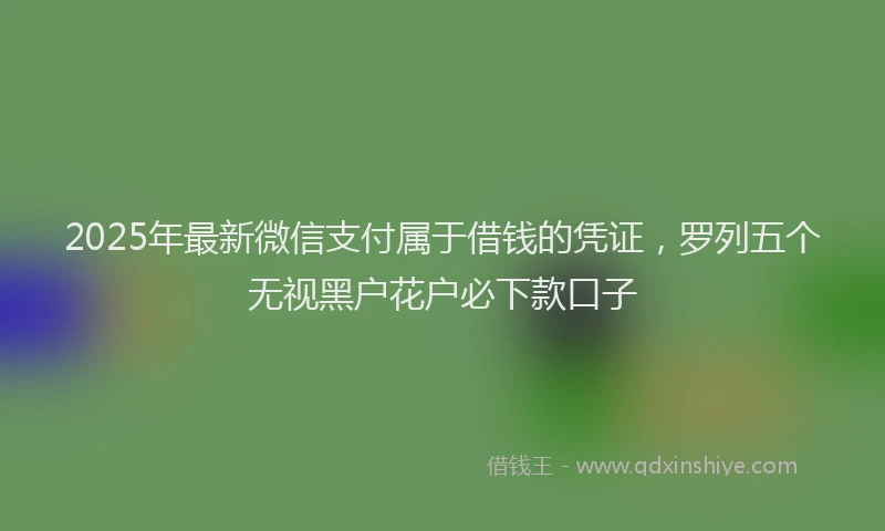 2025年最新微信支付属于借钱的凭证，罗列五个无视黑户花户必下款口子