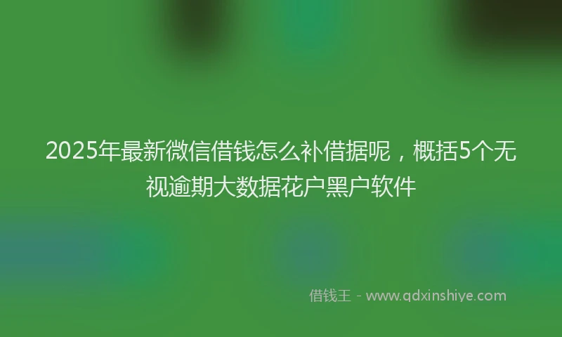 2025年最新微信借钱怎么补借据呢，概括5个无视逾期大数据花户黑户软件