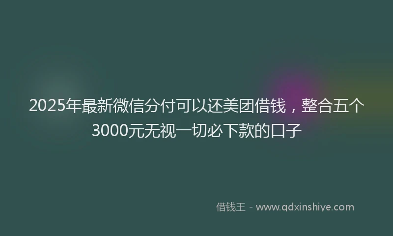2025年最新微信分付可以还美团借钱，整合五个3000元无视一切必下款的口子