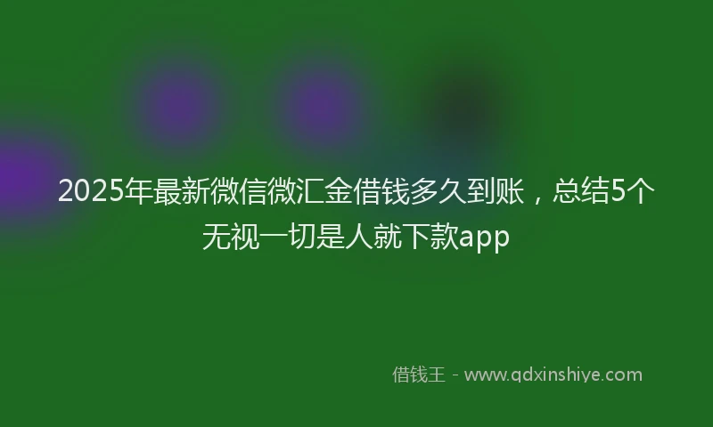 2025年最新微信微汇金借钱多久到账，总结5个无视一切是人就下款app