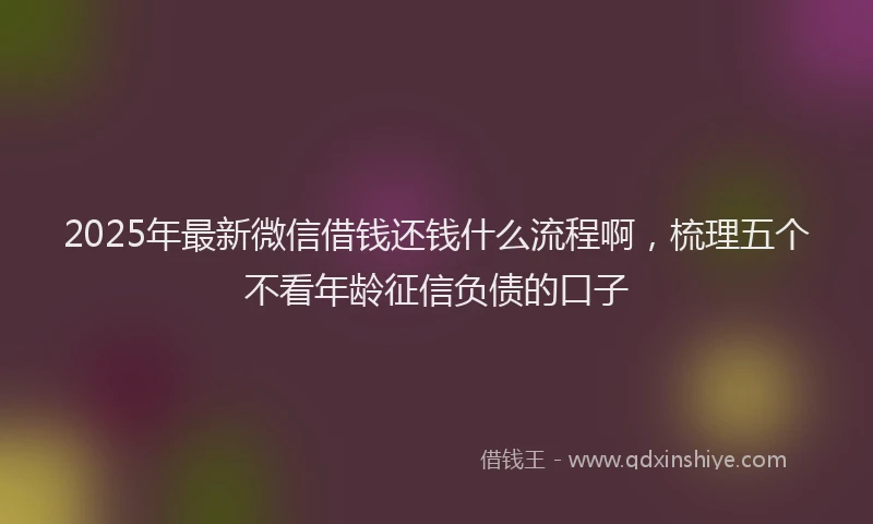 2025年最新微信借钱还钱什么流程啊，梳理五个不看年龄征信负债的口子