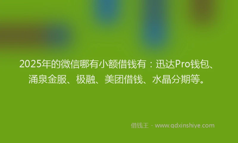 2025年的微信哪有小额借钱有：迅达Pro钱包、涌泉金服、极融、美团借钱、水晶分期等。