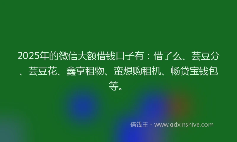 2025年的微信大额借钱口子有：借了么、芸豆分、芸豆花、鑫享租物、蛮想购租机、畅贷宝钱包等。