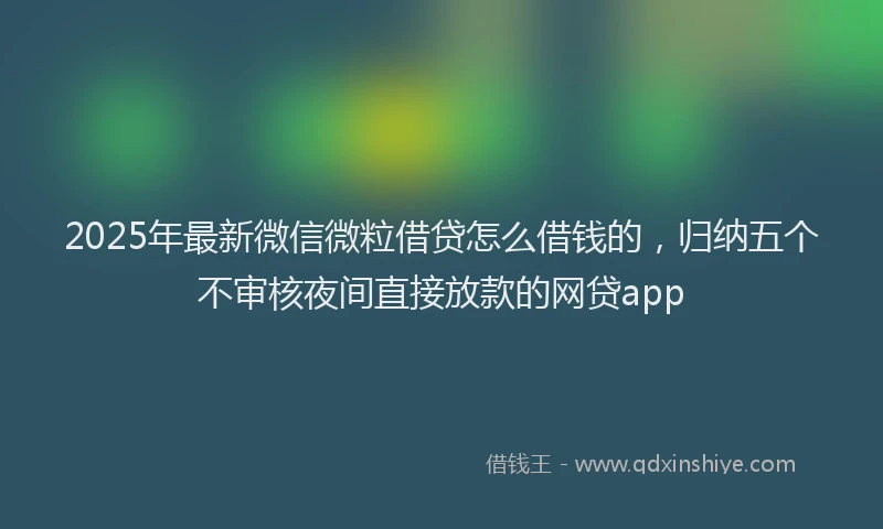 2025年最新微信微粒借贷怎么借钱的，归纳五个不审核夜间直接放款的网贷app