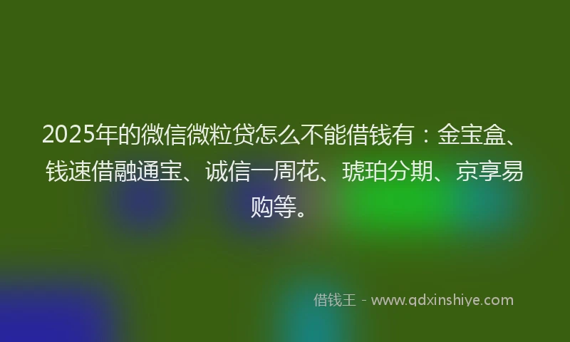 2025年的微信微粒贷怎么不能借钱有：金宝盒、钱速借融通宝、诚信一周花、琥珀分期、京享易购等。