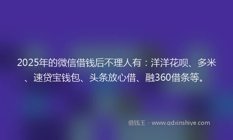 2025年的微信借钱后不理人有：洋洋花呗、多米、速贷宝钱包、头条放心借、融360借条等。