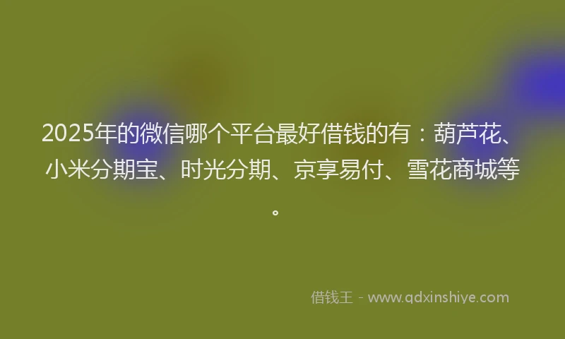 2025年的微信哪个平台最好借钱的有：葫芦花、小米分期宝、时光分期、京享易付、雪花商城等。