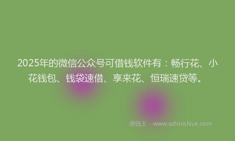 2025年的微信公众号可借钱软件有：畅行花、小花钱包、钱袋速借、享来花、恒瑞速贷等。