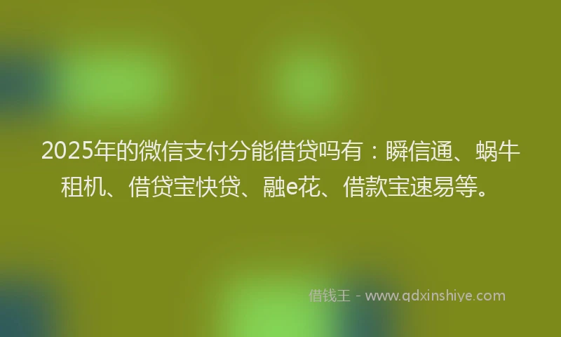 2025年的微信支付分能借贷吗有：瞬信通、蜗牛租机、借贷宝快贷、融e花、借款宝速易等。