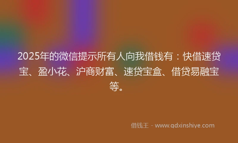 2025年的微信提示所有人向我借钱有：快借速贷宝、盈小花、沪商财富、速贷宝盒、借贷易融宝等。
