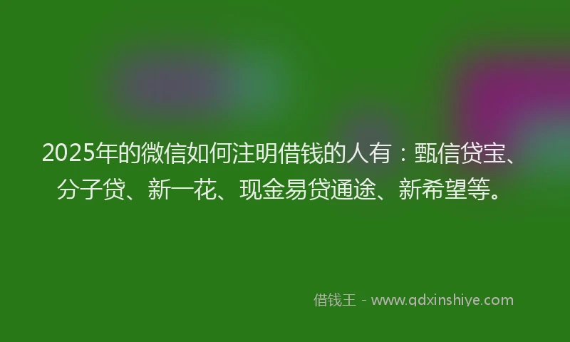 2025年的微信如何注明借钱的人有：甄信贷宝、分子贷、新一花、现金易贷通途、新希望等。