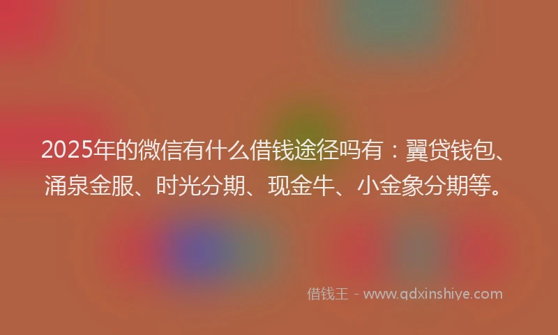 2025年的微信有什么借钱途径吗有：翼贷钱包、涌泉金服、时光分期、现金牛、小金象分期等。