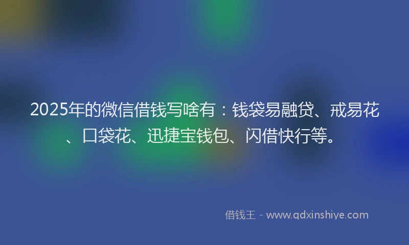 2025年的微信借钱写啥有：钱袋易融贷、戒易花、口袋花、迅捷宝钱包、闪借快行等。