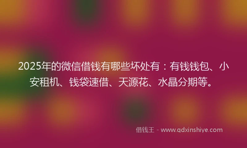 2025年的微信借钱有哪些坏处有：有钱钱包、小安租机、钱袋速借、天源花、水晶分期等。