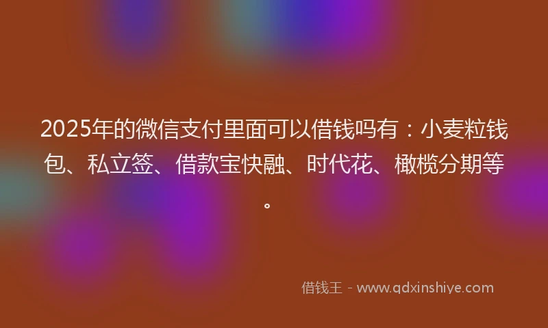 2025年的微信支付里面可以借钱吗有：小麦粒钱包、私立签、借款宝快融、时代花、橄榄分期等。