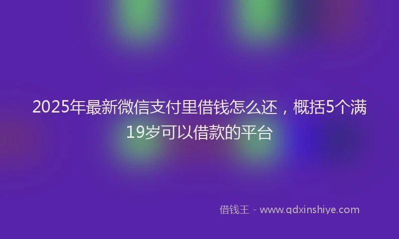 2025年最新微信支付里借钱怎么还，概括5个满19岁可以借款的平台