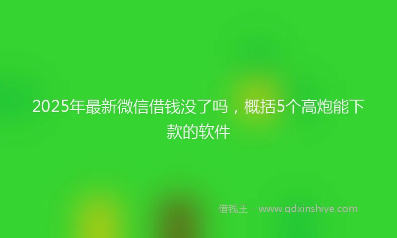 2025年最新微信借钱没了吗，概括5个高炮能下款的软件