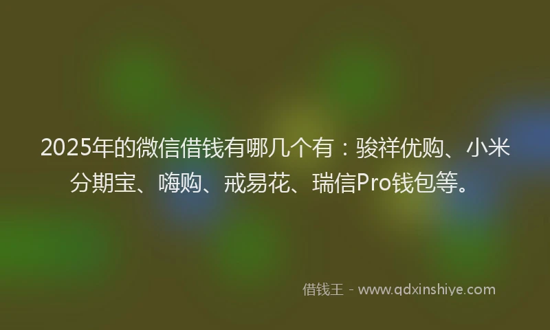 2025年的微信借钱有哪几个有：骏祥优购、小米分期宝、嗨购、戒易花、瑞信Pro钱包等。