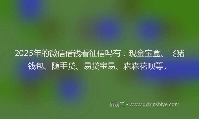 2025年的微信借钱看征信吗有：现金宝盒、飞猪钱包、随手贷、易贷宝易、森森花呗等。