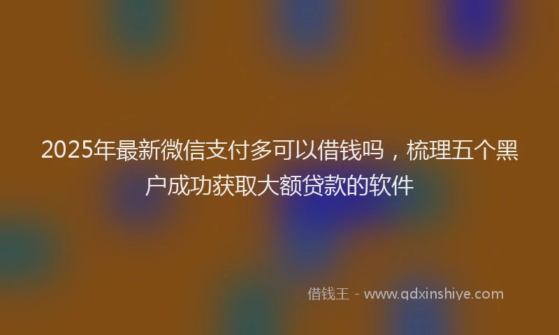 2025年最新微信支付多可以借钱吗，梳理五个黑户成功获取大额贷款的软件