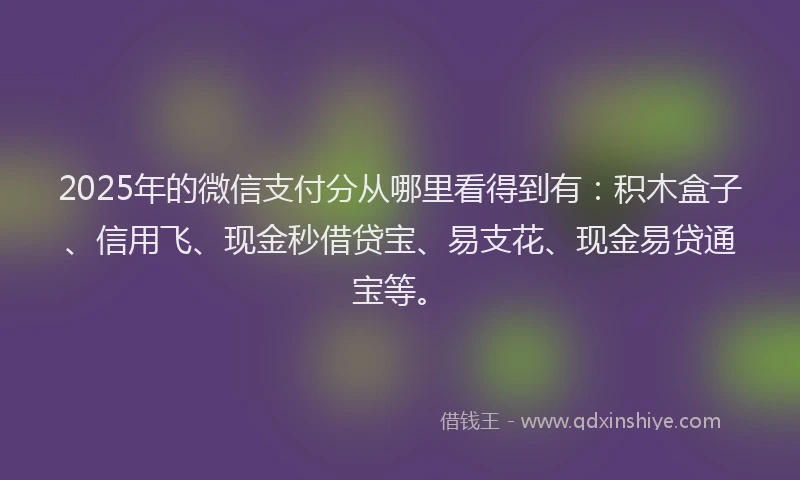2025年的微信支付分从哪里看得到有：积木盒子、信用飞、现金秒借贷宝、易支花、现金易贷通宝等。