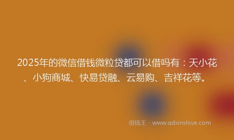 2025年的微信借钱微粒贷都可以借吗有:天小花、小狗商城、快易贷融、云易购、吉祥花等。