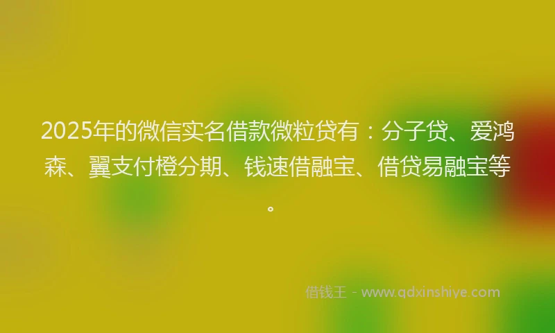 2025年的微信实名借款微粒贷有：分子贷、爱鸿森、翼支付橙分期、钱速借融宝、借贷易融宝等。
