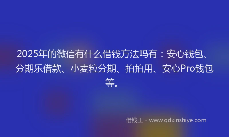 2025年的微信有什么借钱方法吗有：安心钱包、分期乐借款、小麦粒分期、拍拍用、安心Pro钱包等。