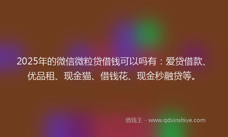 2025年的微信微粒贷借钱可以吗有：爱贷借款、优品租、现金猫、借钱花、现金秒融贷等。