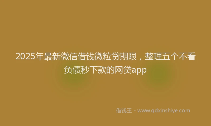 2025年最新微信借钱微粒贷期限，整理五个不看负债秒下款的网贷app