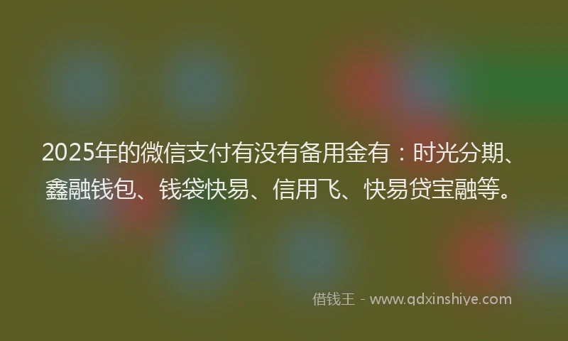 2025年的微信支付有没有备用金有：时光分期、鑫融钱包、钱袋快易、信用飞、快易贷宝融等。