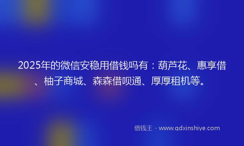 2025年的微信安稳用借钱吗有：葫芦花、惠享借、柚子商城、森森借呗通、厚厚租机等。