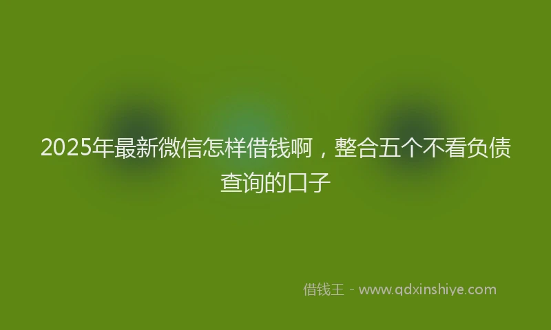 2025年最新微信怎样借钱啊，整合五个不看负债查询的口子