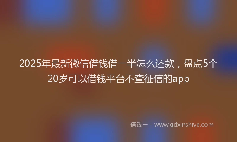 2025年最新微信借钱借一半怎么还款，盘点5个20岁可以借钱平台不查征信的app