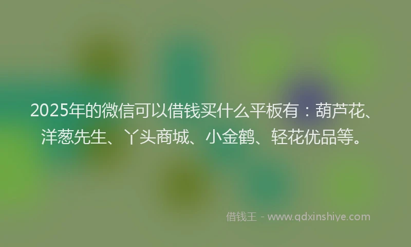 2025年的微信可以借钱买什么平板有：葫芦花、洋葱先生、丫头商城、小金鹤、轻花优品等。