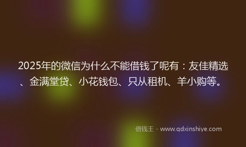 2025年的微信为什么不能借钱了呢有：友佳精选、金满堂贷、小花钱包、只从租机、羊小购等。