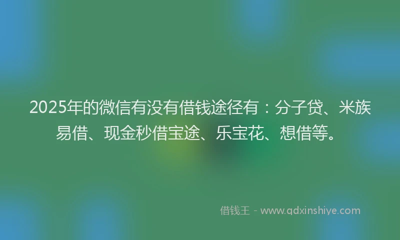 2025年的微信有没有借钱途径有:分子贷、米族易借、现金秒借宝途、乐宝花、想借等。
