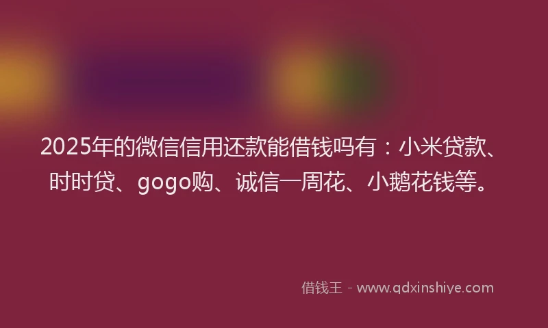 2025年的微信信用还款能借钱吗有：小米贷款、时时贷、gogo购、诚信一周花、小鹅花钱等。