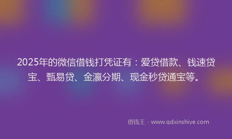 2025年的微信借钱打凭证有：爱贷借款、钱速贷宝、甄易贷、金瀛分期、现金秒贷通宝等。