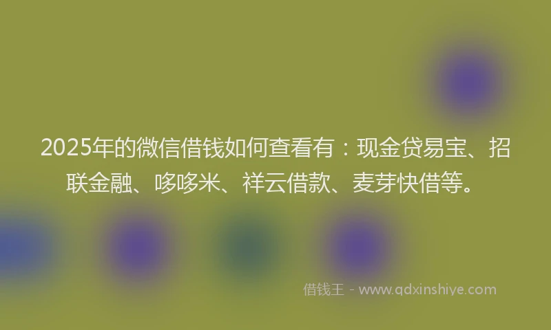 2025年的微信借钱如何查看有:现金贷易宝、招联金融、哆哆米、祥云借款、麦芽快借等。