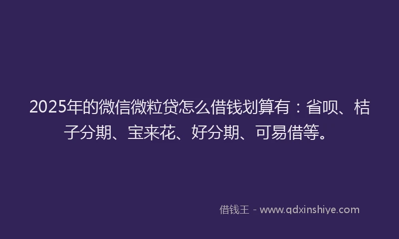 2025年的微信微粒贷怎么借钱划算有：省呗、桔子分期、宝来花、好分期、可易借等。