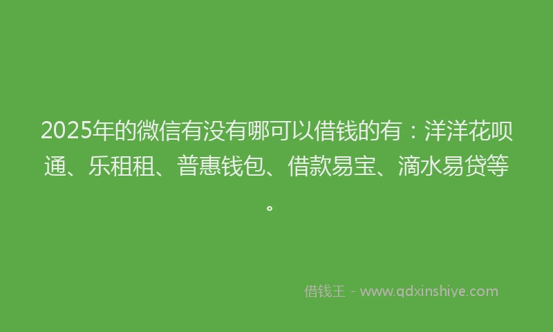 2025年的微信有没有哪可以借钱的有：洋洋花呗通、乐租租、普惠钱包、借款易宝、滴水易贷等。