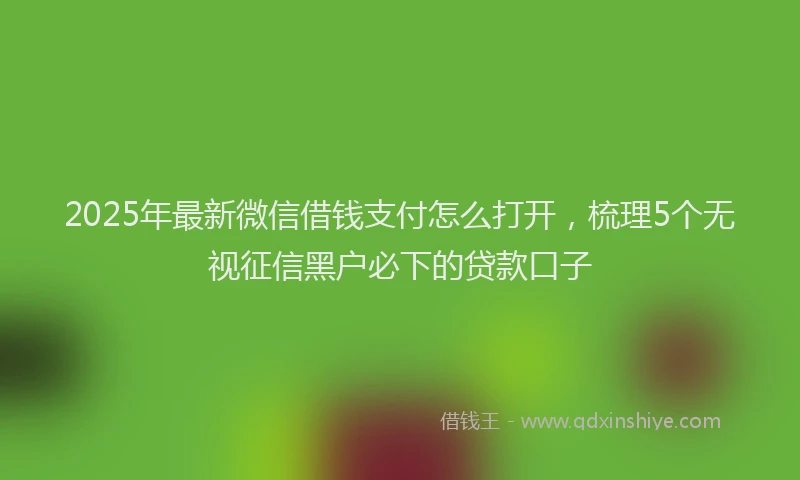 2025年最新微信借钱支付怎么打开，梳理5个无视征信黑户必下的贷款口子