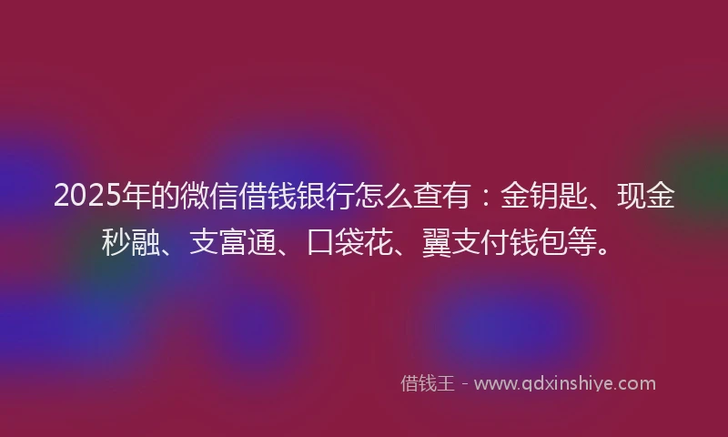 2025年的微信借钱银行怎么查有：金钥匙、现金秒融、支富通、口袋花、翼支付钱包等。