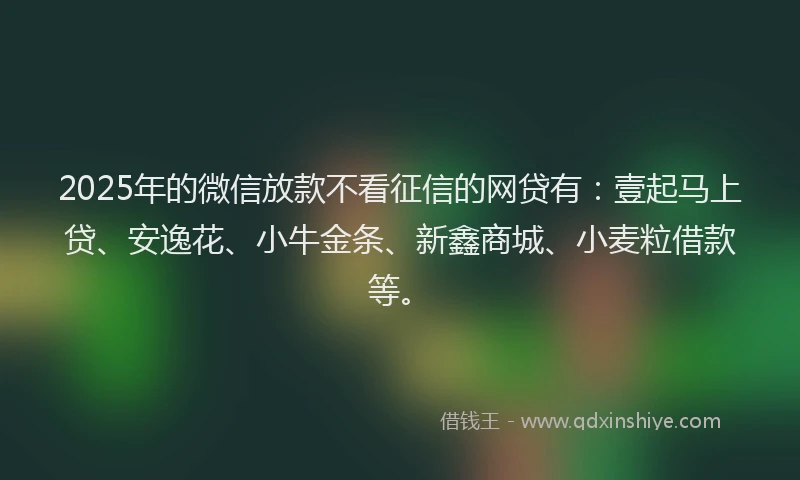 2025年的微信放款不看征信的网贷有：壹起马上贷、安逸花、小牛金条、新鑫商城、小麦粒借款等。