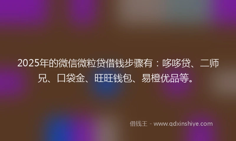 2025年的微信微粒贷借钱步骤有：哆哆贷、二师兄、口袋金、旺旺钱包、易橙优品等。