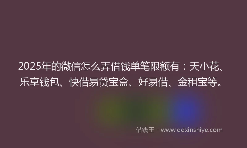 2025年的微信怎么弄借钱单笔限额有:天小花、乐享钱包、快借易贷宝盒、好易借、金租宝等。