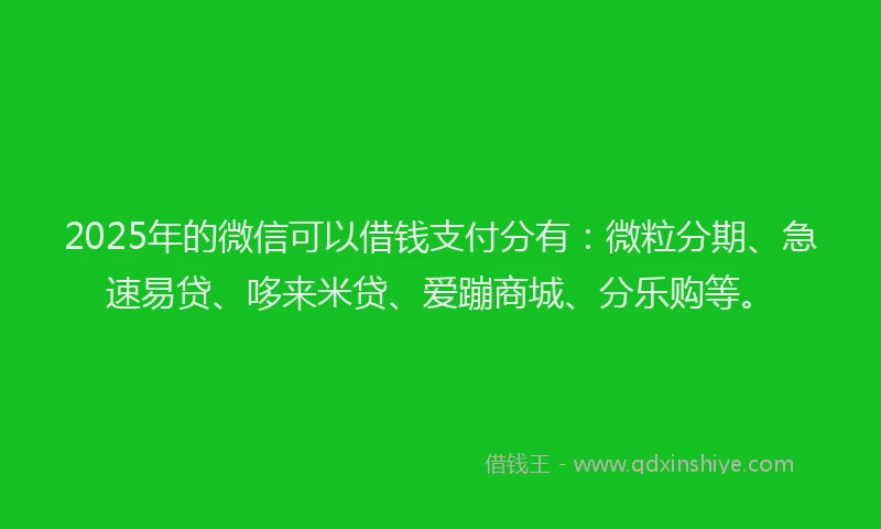2025年的微信可以借钱支付分有：微粒分期、急速易贷、哆来米贷、爱蹦商城、分乐购等。